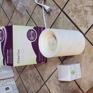 Gently used Scentsy warmer